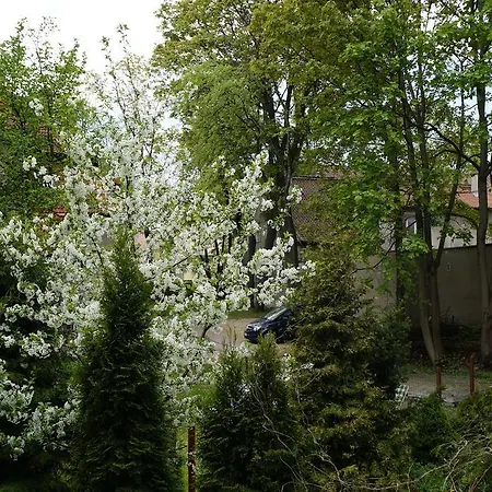 Апартаменты Duzy Apartament W Centrum *